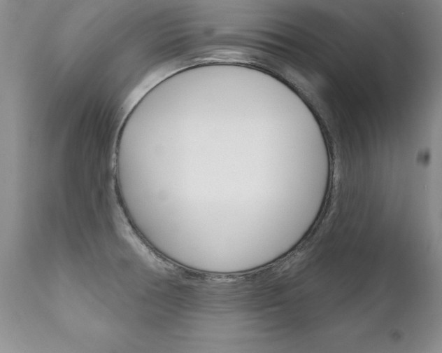 X0000111131378200906301055
