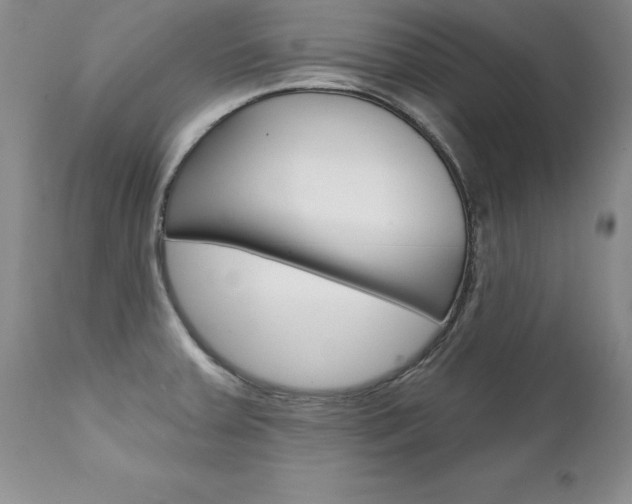 X0000111131379200906301055