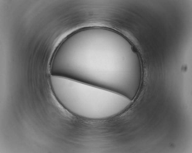 X0000111131380200906301055