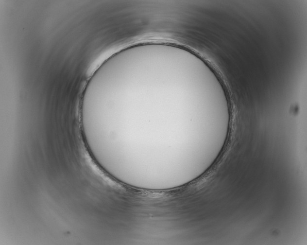 X0000111131382200906301055