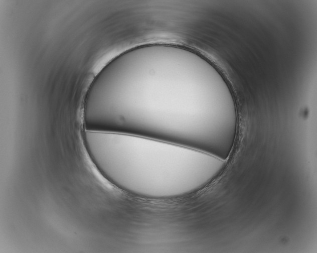 X0000111131383200906301055