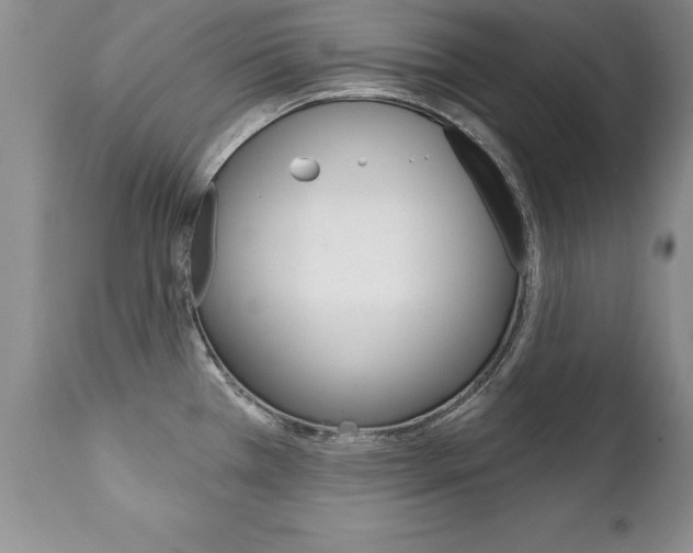 X0000111131385200906301055