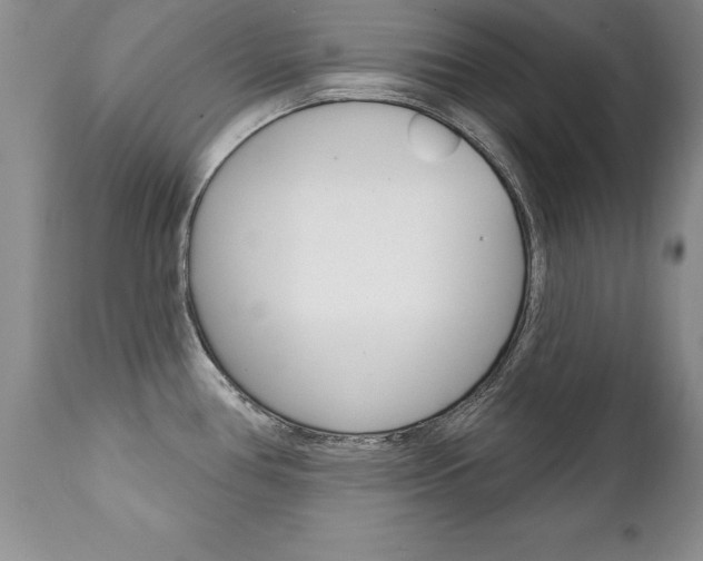 X0000111131386200906301055