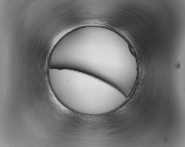 X0000111131387200906301055