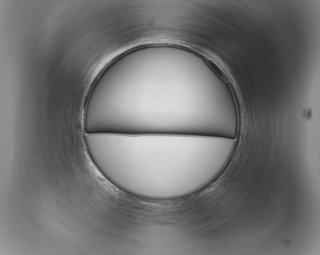 X0000111131388200906301055