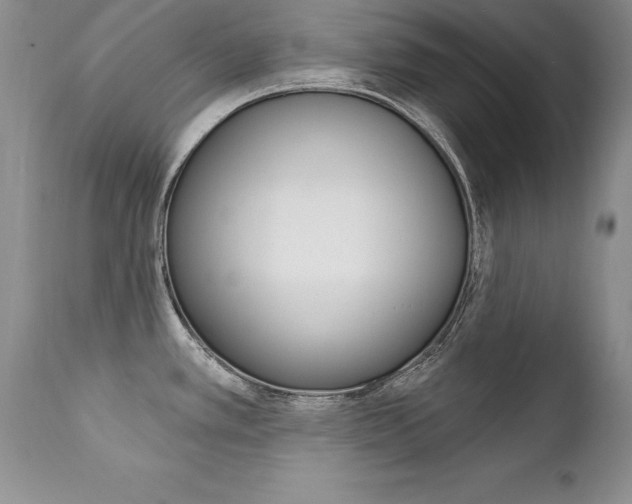X0000111131389200906301055