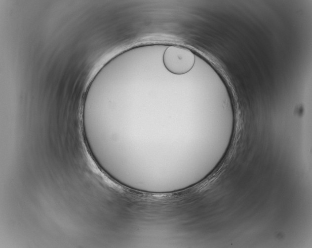 X0000111131390200906301055
