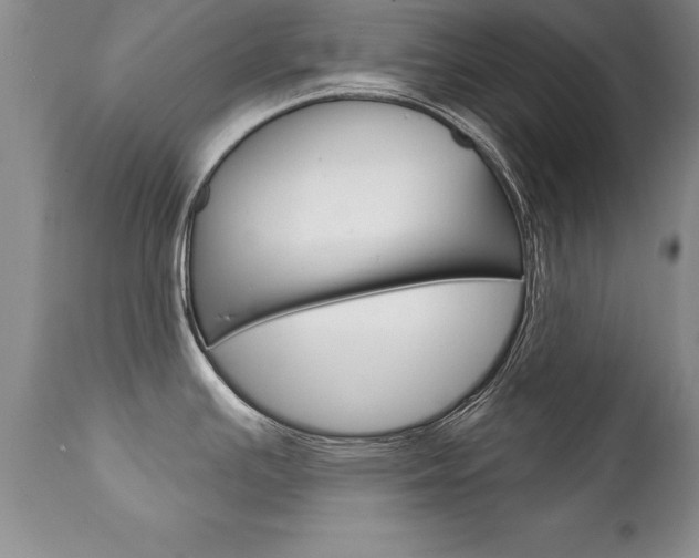 X0000111131391200906301055