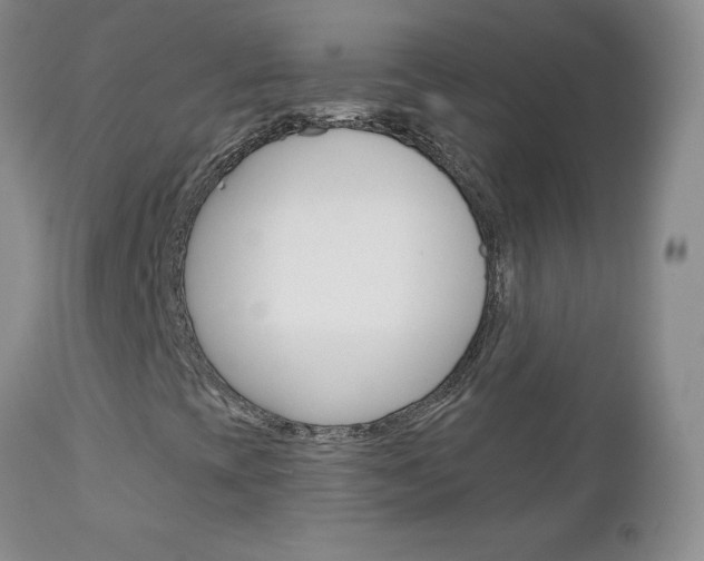 X0000111131393200906301053