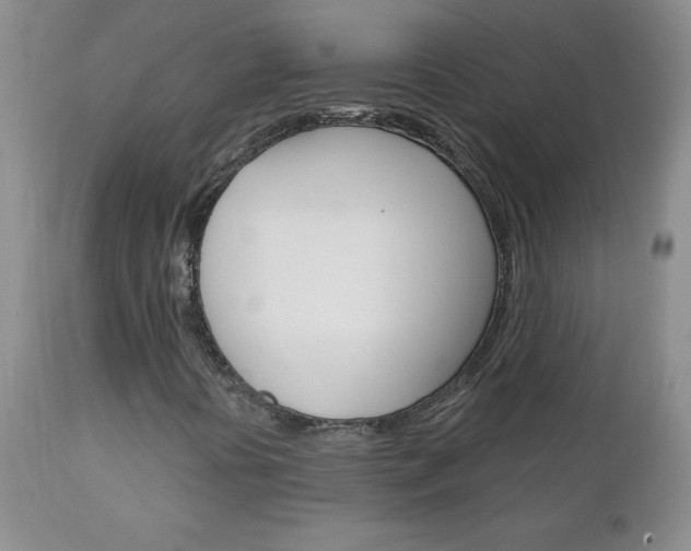 X0000111131394200906301054
