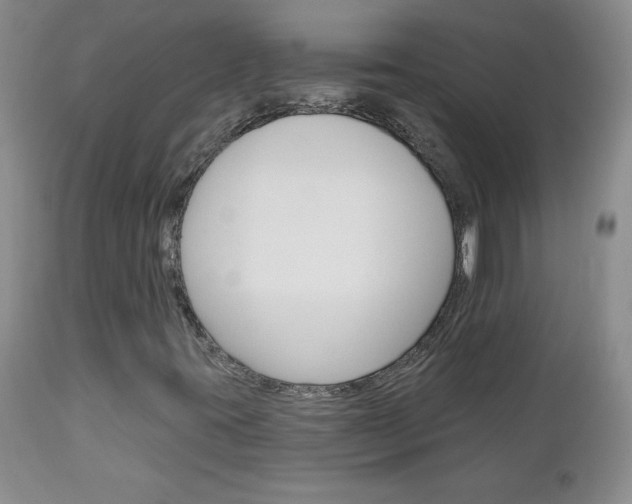 X0000111131395200906301054