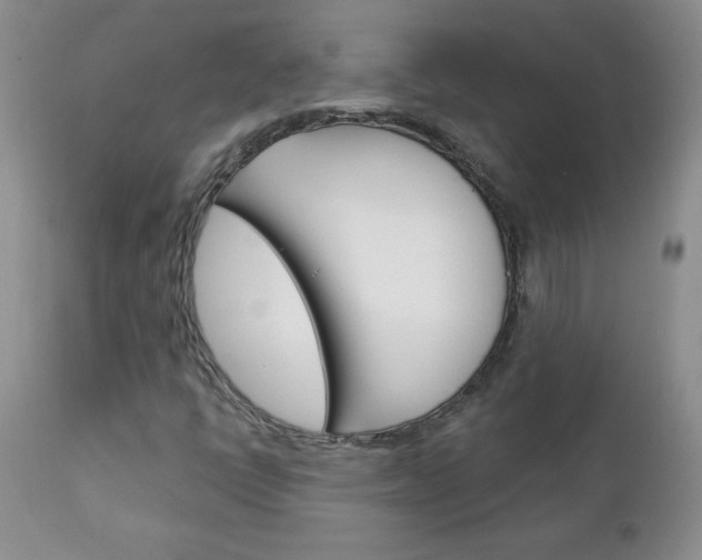 X0000111131398200906301054