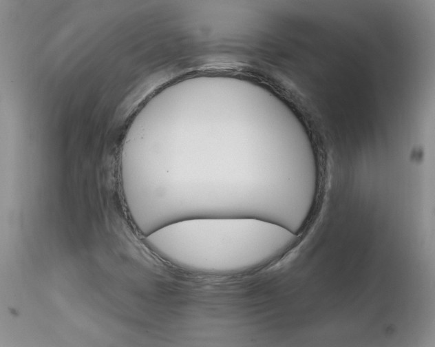X0000111131401200906301054