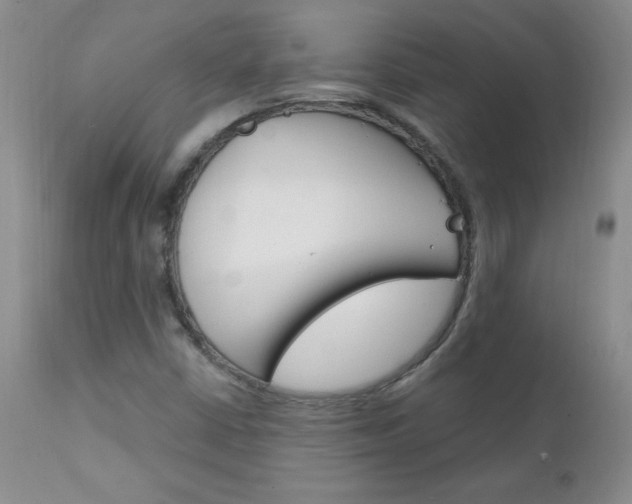 X0000111131402200906301054