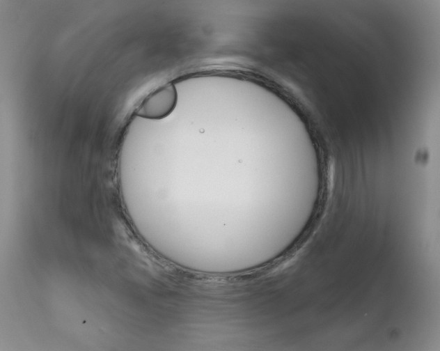 X0000111131405200906301054