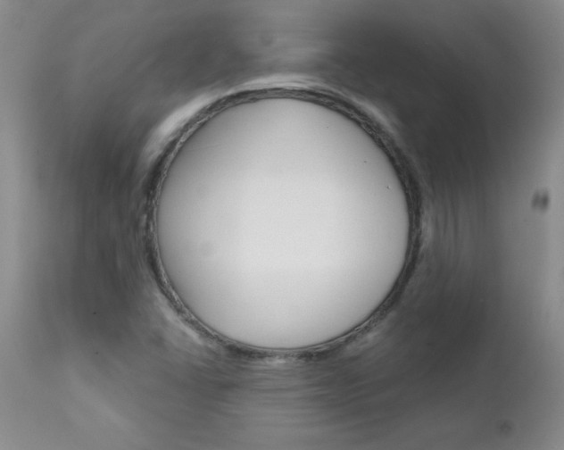 X0000111131406200906301054