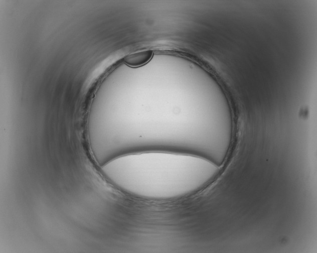 X0000111131410200906301054