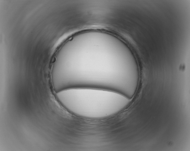 X0000111131412200906301054