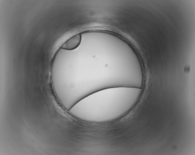 X0000111131413200906301054