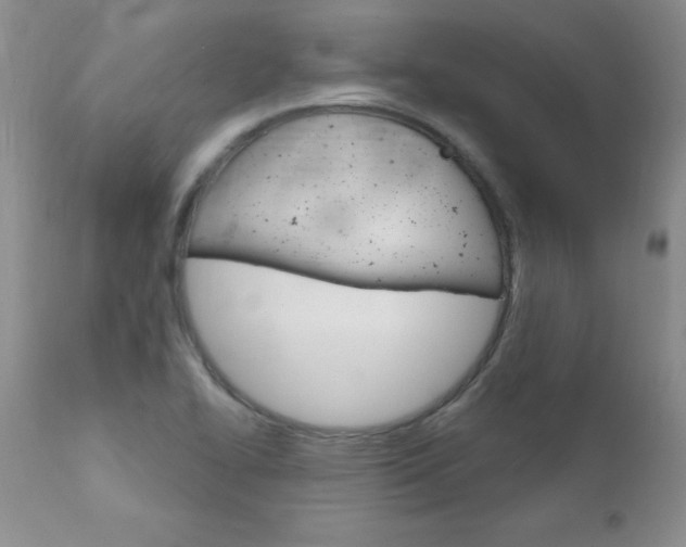 X0000111131414200906301054