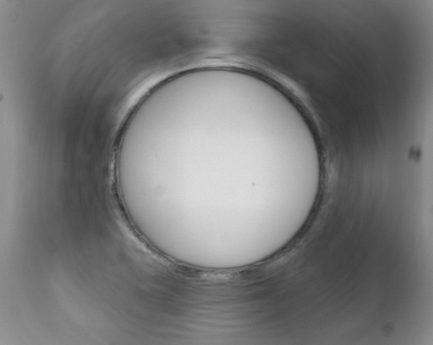 X0000111131415200906301054
