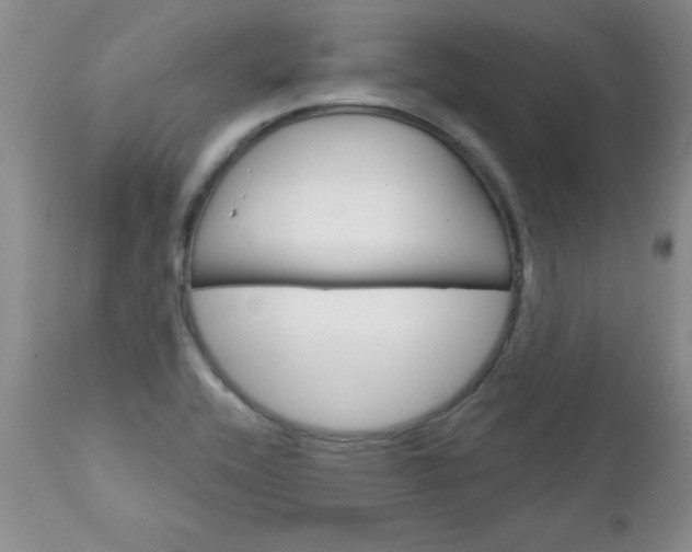 X0000111131416200906301054