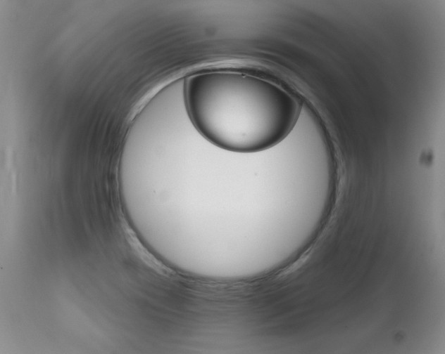 X0000111131417200906301054