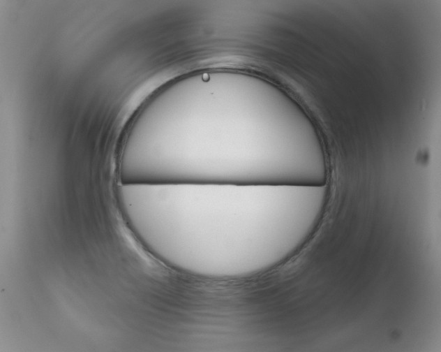 X0000111131418200906301054