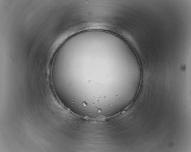 X0000111131419200906301054