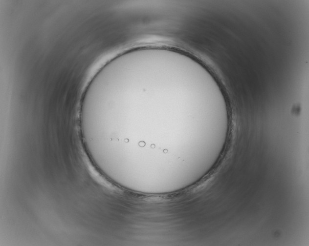 X0000111131421200906301054