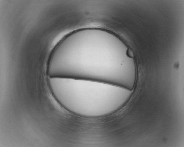 X0000111131422200906301054