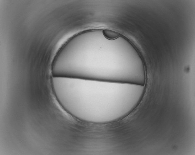 X0000111131424200906301054