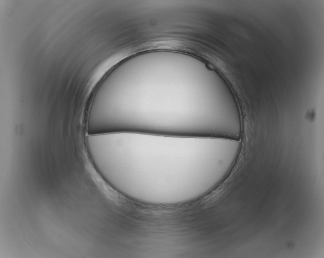 X0000111131426200906301054