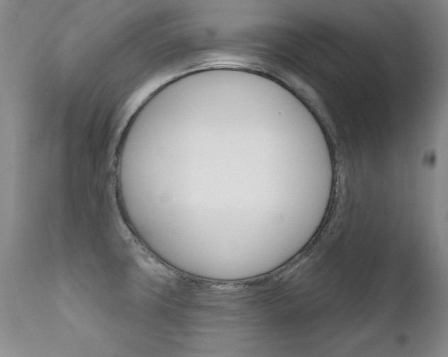 X0000111131427200906301054