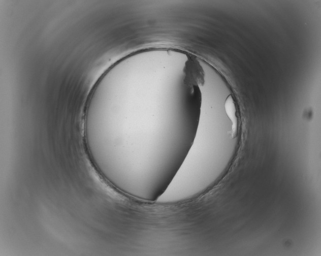 X0000111131428200906301054