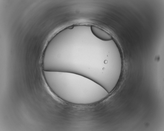 X0000111131429200906301054