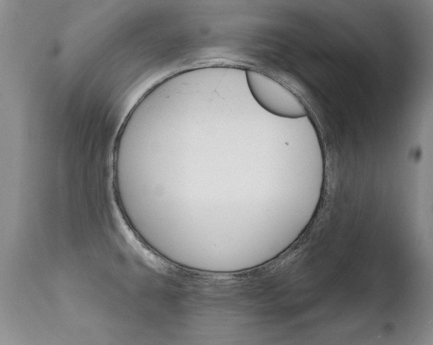 X0000111131431200906301054