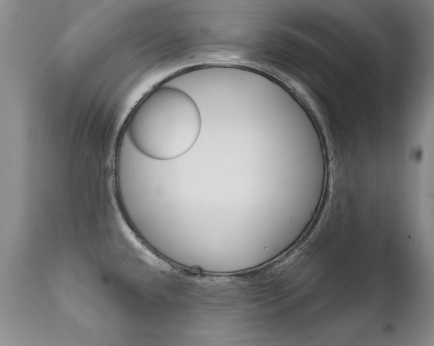 X0000111131432200906301054
