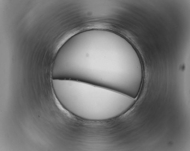 X0000111131433200906301054