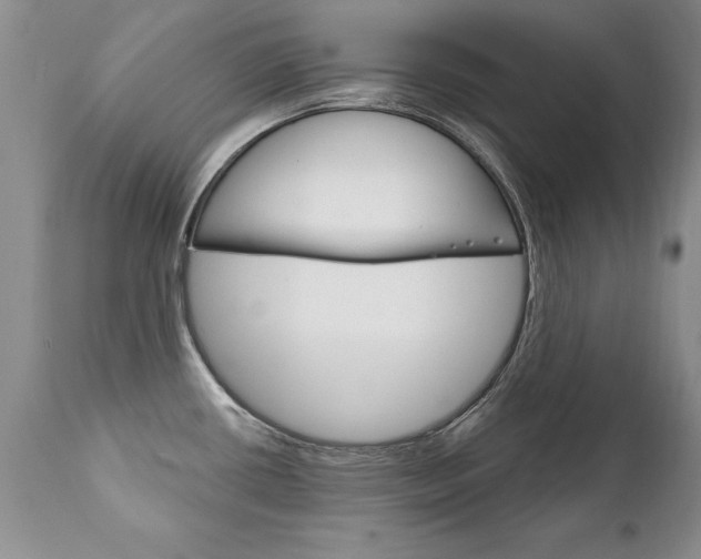 X0000111131434200906301054