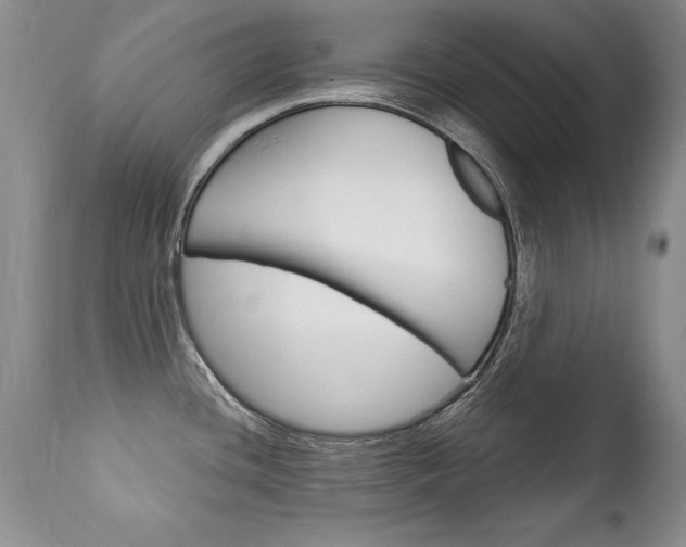 X0000111131436200906301054