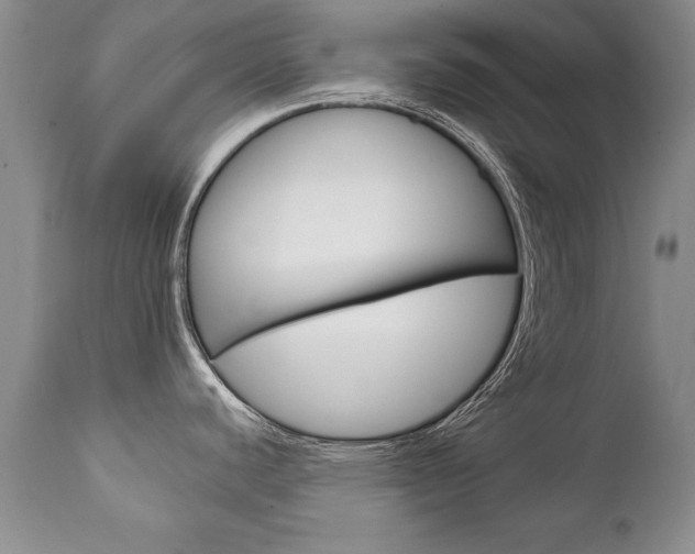 X0000111131440200906301054