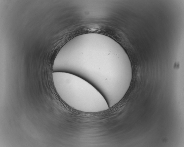 X0000111131442200906301053