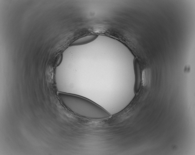 X0000111131443200906301053