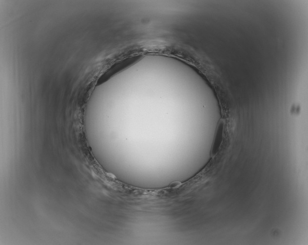 X0000111131445200906301053