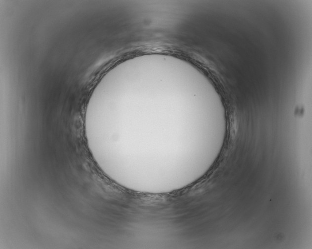 X0000111131446200906301053