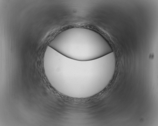 X0000111131447200906301053