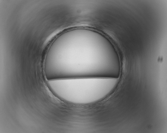 X0000111131452200906301053
