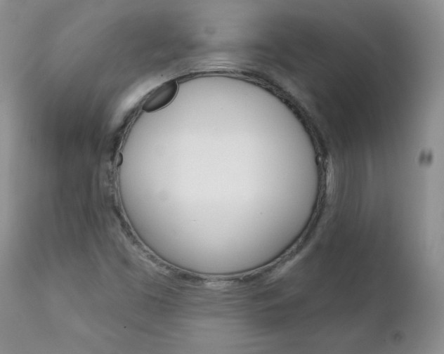 X0000111131453200906301053