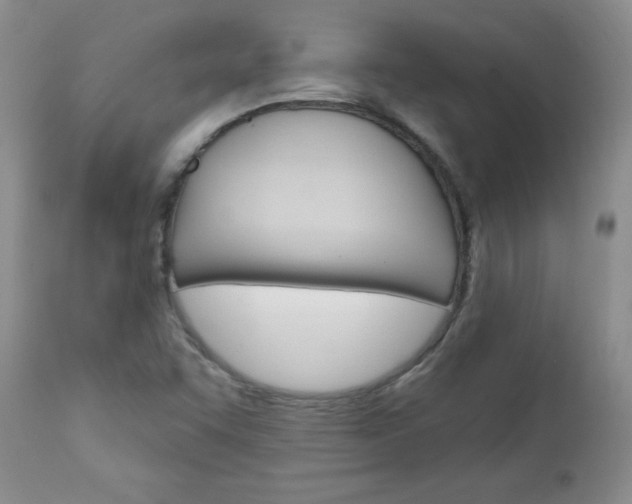 X0000111131455200906301053